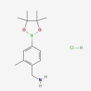 molecular formula C14H23BClNO2 B13920077 (2-Methyl-4-(4,4,5,5-tetramethyl-1,3,2-dioxaborolan-2-yl)phenyl)methanamine hydrochloride 