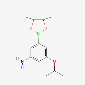 molecular formula C15H24BNO3 B13920501 3-Isopropoxy-5-(4,4,5,5-tetramethyl-1,3,2-dioxaborolan-2-yl)aniline 