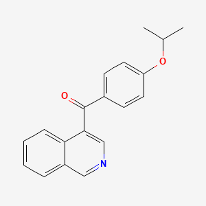 molecular formula C19H17NO2 B1392161 4-(4-异丙氧基苯甲酰)异喹啉 CAS No. 1187171-65-8