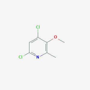 molecular formula C7H7Cl2NO B1392304 4,6-Dichloro-3-methoxy-2-methylpyridine CAS No. 1019929-89-5