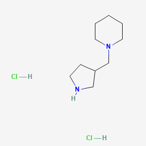 molecular formula C10H22Cl2N2 B1392333 1-(3-Pyrrolidinylmethyl)piperidine dihydrochloride CAS No. 1220018-59-6