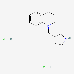 molecular formula C14H22Cl2N2 B1392334 1-(3-吡咯烷基甲基)-1,2,3,4-四氢喹啉二盐酸盐 CAS No. 1219960-36-7