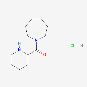 molecular formula C12H23ClN2O B1392391 1-Azepanyl(2-piperidinyl)methanone hydrochloride CAS No. 1236254-92-4
