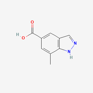 molecular formula C9H8N2O2 B1392435 7-Methyl-1H-indazole-5-carboxylic acid CAS No. 1031417-41-0
