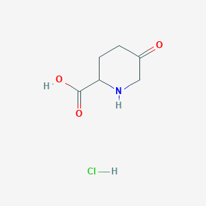 molecular formula C6H10ClNO3 B1392441 5-氧代哌啶-2-羧酸盐酸盐 CAS No. 99980-20-8