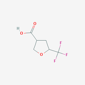 molecular formula C6H7F3O3 B13924991 5-(Trifluoromethyl)tetrahydrofuran-3-carboxylic acid 