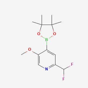 2-(Difluoromethyl)-5-methoxy-4-(4,4,5,5-tetramethyl-1,3,2-dioxaborolan-2-yl)pyridine