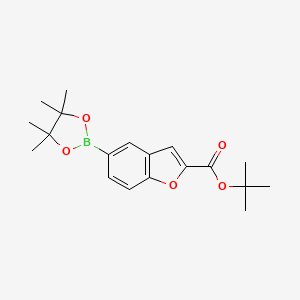 molecular formula C19H25BO5 B13926289 tert-Butyl 5-(4,4,5,5-tetramethyl-1,3,2-dioxaborolan-2-yl)benzofuran-2-carboxylate 