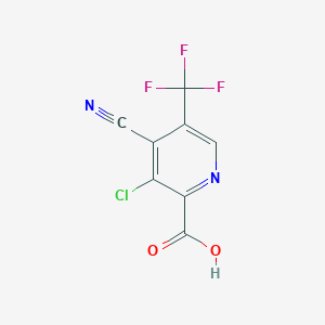 molecular formula C8H2ClF3N2O2 B1392643 3-氯-4-氰基-5-(三氟甲基)-2-吡啶甲酸 CAS No. 1221791-55-4