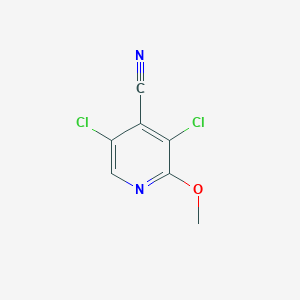 molecular formula C7H4Cl2N2O B1392705 3,5-二氯-2-甲氧基异烟腈 CAS No. 1221791-88-3