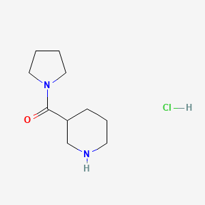 molecular formula C10H19ClN2O B1392787 3-哌啶基(1-吡咯啉基)甲酮盐酸盐 CAS No. 937724-81-7