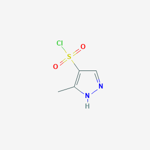 B1392833 5-methyl-1H-pyrazole-4-sulfonyl chloride CAS No. 1179918-36-5