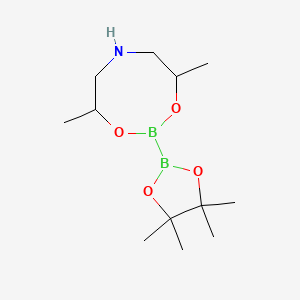 molecular formula C12H25B2NO4 B1392870 4,8-二甲基-2-(四甲基-1,3,2-二氧硼烷-2-基)-1,3,6,2-二氧杂硼杂环丁烷 CAS No. 1536530-95-6