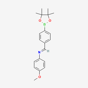 molecular formula C20H24BNO3 B1393131 4-[(4-Methoxyphenylimino)methyl]phenylboronic acid pinacol ester CAS No. 871366-38-0