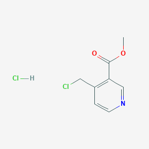 molecular formula C8H9Cl2NO2 B1393175 4-(氯甲基)烟酸甲酯盐酸盐 CAS No. 1159826-53-5