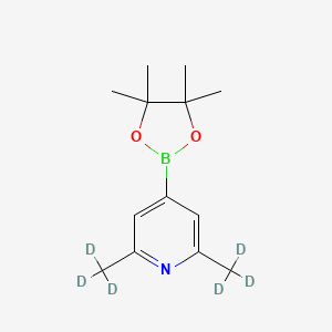 2,6-Di(trideuteromethyl)-4-(4,4,5,5-tetramethyl-1,3,2-dioxaborolan-2-yl)pyridine