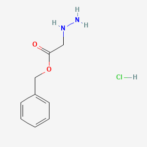 molecular formula C9H13ClN2O2 B13932073 Benzyl aminoglycinate hydrochloride 