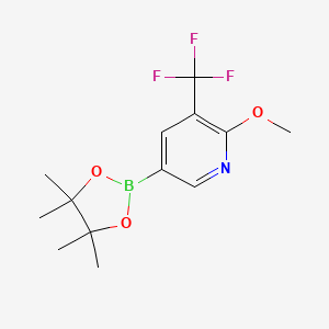 molecular formula C13H17BF3NO3 B1393461 2-甲氧基-5-(4,4,5,5-四甲基-1,3,2-二氧杂硼烷-2-基)-3-(三氟甲基)吡啶 CAS No. 1150561-61-7