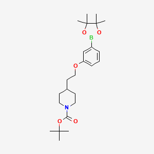 molecular formula C24H38BNO5 B1393498 叔丁基 4-{2-[3-(4,4,5,5-四甲基[1,3,2]二氧硼杂环丁烷-2-基)苯氧基]乙基}哌啶-1-甲酸酯 CAS No. 1310405-34-5