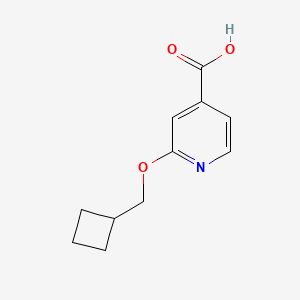molecular formula C11H13NO3 B1393505 2-(Cyclobutylmethoxy)isonicotinic acid CAS No. 1235440-03-5