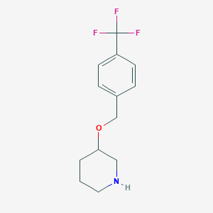 molecular formula C13H16F3NO B1393558 3-[[4-(三氟甲基)苯基]甲氧基]-哌啶 CAS No. 1047081-66-2