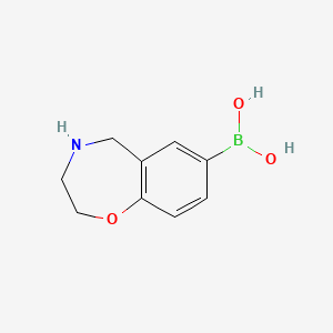 2,3,4,5-Tetrahydro-1,4-benzoxazepin-7-ylboronic acid