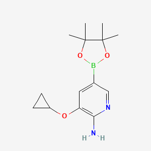 molecular formula C14H21BN2O3 B13938995 3-Cyclopropoxy-5-(4,4,5,5-tetramethyl-1,3,2-dioxaborolan-2-YL)pyridin-2-amine 