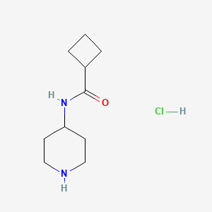 molecular formula C10H19ClN2O B1394008 N-(4-Piperidinyl)cyclobutanecarboxamide hydrochloride CAS No. 1219948-63-6