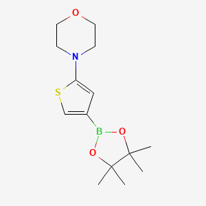 molecular formula C14H22BNO3S B13940996 4-(4-(4,4,5,5-Tetramethyl-1,3,2-dioxaborolan-2-yl)thiophen-2-yl)morpholine 