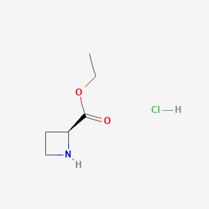 molecular formula C6H12ClNO2 B1394193 (S)-氮杂环丁烷-2-羧酸乙酯盐酸盐 CAS No. 96287-28-4