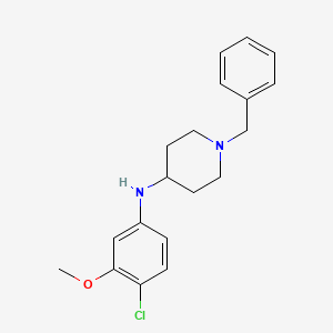 molecular formula C19H23ClN2O B13942578 (1-Benzyl-piperidin-4-yl)-(4-chloro-3-methoxy-phenyl)-amine 