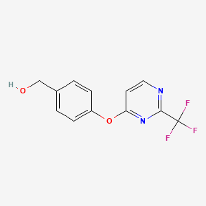 molecular formula C12H9F3N2O2 B1394371 (4{[2-(三氟甲基)嘧啶-4-基]氧基}苯基)甲醇 CAS No. 1215662-44-4