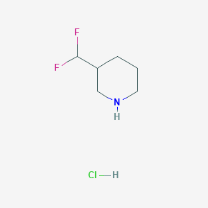 molecular formula C6H12ClF2N B1394494 3-二氟甲基哌啶盐酸盐 CAS No. 1093759-69-3