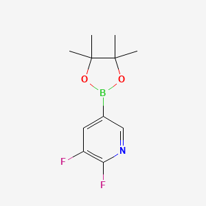 molecular formula C11H14BF2NO2 B1394553 2,3-Difluoro-5-(4,4,5,5-tetramethyl-1,3,2-dioxaborolan-2-yl)pyridine CAS No. 1154579-82-4