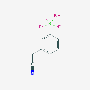 molecular formula C8H6BF3KN B1394604 Potassium (3-cyanomethylphenyl)trifluoroborate CAS No. 1073468-32-2
