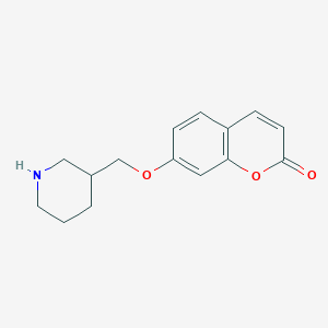 molecular formula C15H17NO3 B1394606 7-(3-Piperidinylmethoxy)-2H-chromen-2-one CAS No. 946724-98-7