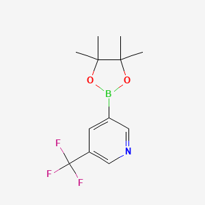 molecular formula C12H15BF3NO2 B1394614 3-(4,4,5,5-Tetramethyl-1,3,2-dioxaborolan-2-yl)-5-(trifluoromethyl)pyridine CAS No. 1084953-47-8