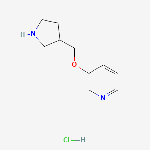 molecular formula C10H15ClN2O B1394645 3-(3-Pyrrolidinylmethoxy)pyridine hydrochloride CAS No. 1220016-83-0