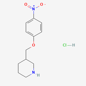 molecular formula C12H17ClN2O3 B1394673 3-[(4-硝基苯氧基)甲基]哌啶盐酸盐 CAS No. 1219982-62-3