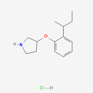 molecular formula C14H22ClNO B1394675 3-[2-(仲丁基)苯氧基]吡咯烷盐酸盐 CAS No. 1220019-46-4