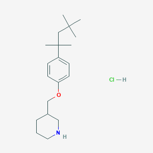 molecular formula C20H34ClNO B1394677 3-{[4-(1,1,3,3-四甲基丁基)苯氧基]-甲基}哌啶盐酸盐 CAS No. 1219982-30-5