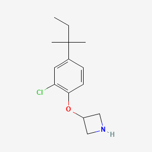 molecular formula C14H20ClNO B1394682 3-[2-氯-4-(叔戊基)苯氧基]氮杂环丁烷 CAS No. 1220021-39-5
