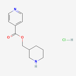 molecular formula C12H17ClN2O2 B1394687 3-Piperidinylmethyl isonicotinate hydrochloride CAS No. 1220037-02-4