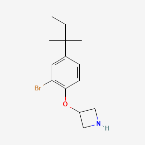 molecular formula C14H20BrNO B1394697 3-氮杂环丁基 2-溴-4-(叔戊基)苯基醚 CAS No. 1219976-51-8