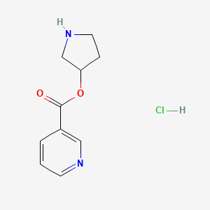 molecular formula C10H13ClN2O2 B1394710 3-Pyrrolidinyl nicotinate hydrochloride CAS No. 1220038-39-0