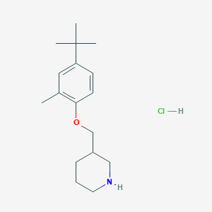 molecular formula C17H28ClNO B1394713 3-{[4-(叔丁基)-2-甲基苯氧基]-甲基}哌啶盐酸盐 CAS No. 1220019-55-5