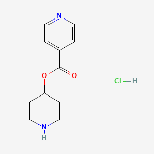 B1394724 4-Piperidinyl isonicotinate hydrochloride CAS No. 1220020-07-4