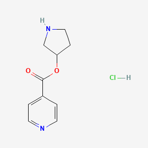 molecular formula C10H13ClN2O2 B1394747 3-吡咯烷基异烟酸盐酸盐 CAS No. 1219979-35-7