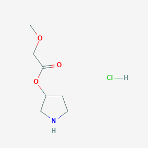 molecular formula C7H14ClNO3 B1394755 3-吡咯烷基 2-甲氧基乙酸盐酸盐 CAS No. 1220037-37-5