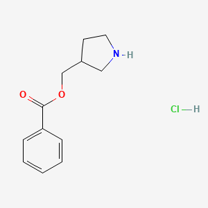 molecular formula C12H16ClNO2 B1394759 3-吡咯烷基甲基苯甲酸盐酸盐 CAS No. 1220027-52-0
